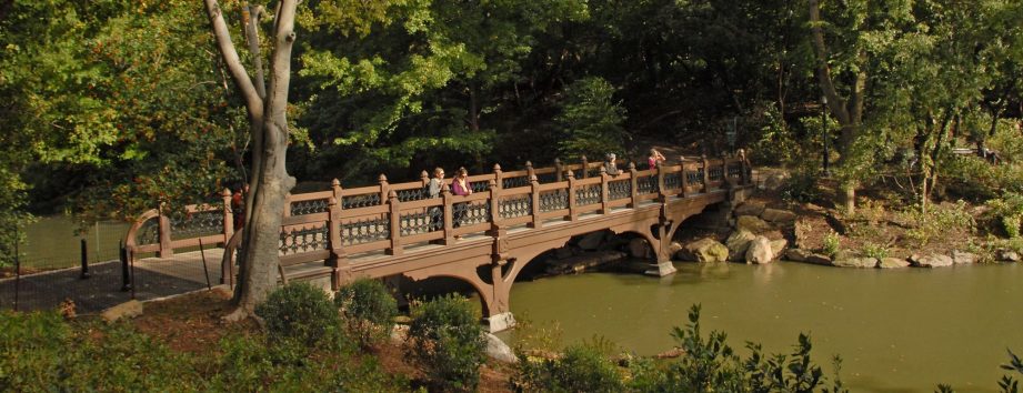 Oak Bridge