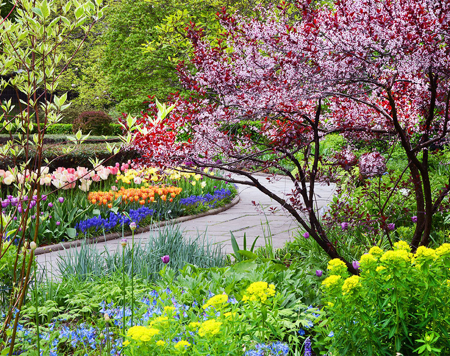 Conservatory Garden Spring Blooms