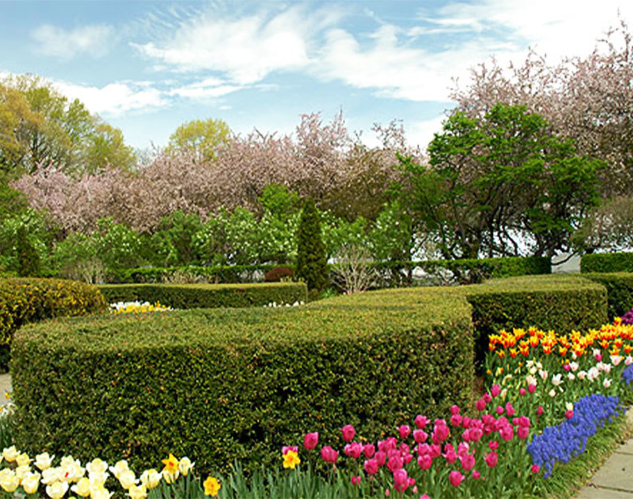Conservatory Garden in full bloom