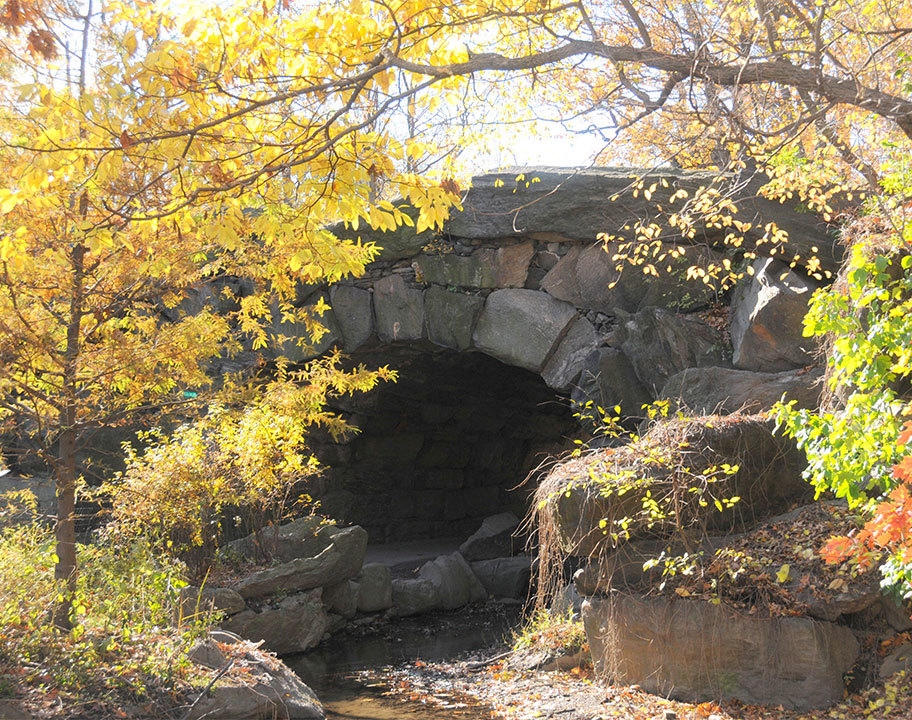 A North Woods arch in autumn