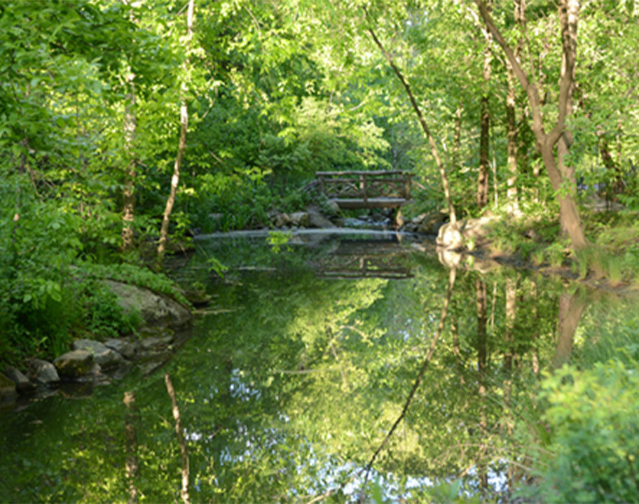 Discovery Walk North Woods