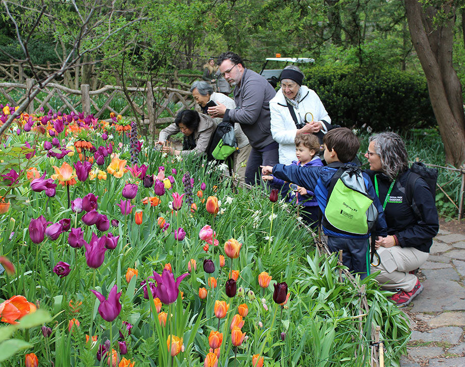 Discovery Walk Shakespeare Garden