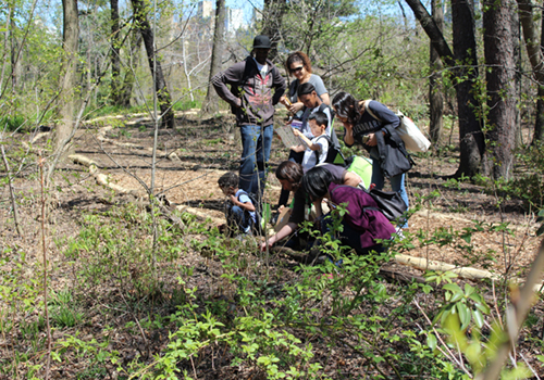 Discovery Walks Ramble