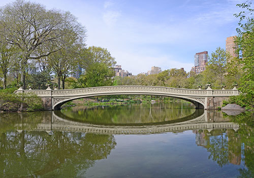 Heart of the Park