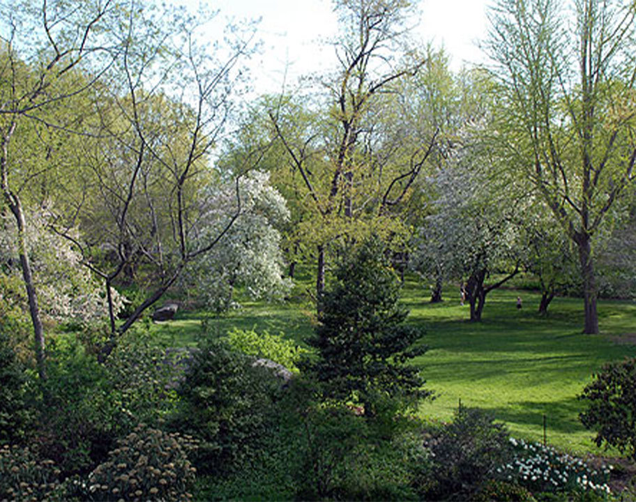 Seneca Village
