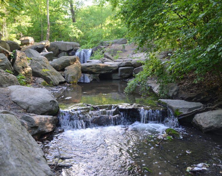 A stream waterfalls through lush greenery