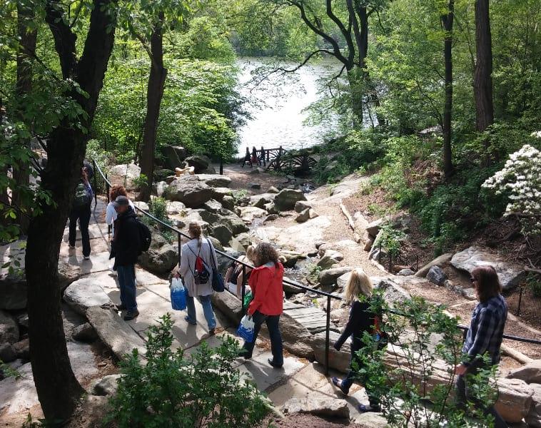The Ramble in summer