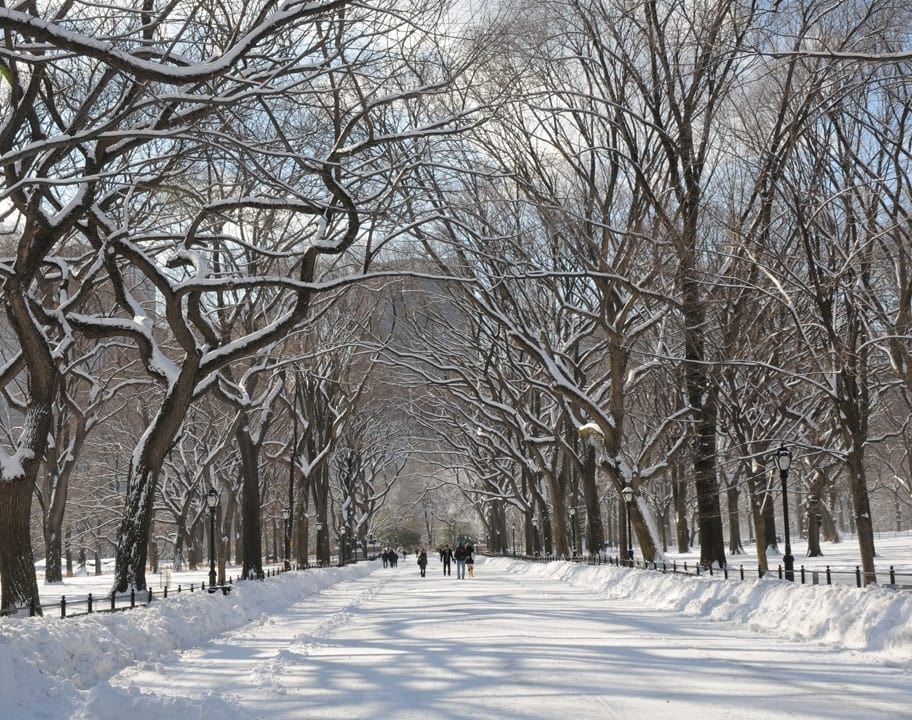 Central Park in winter
