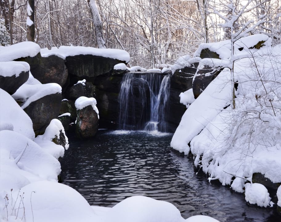 North Woods in winter