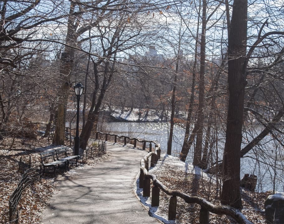 The Ramble in winter