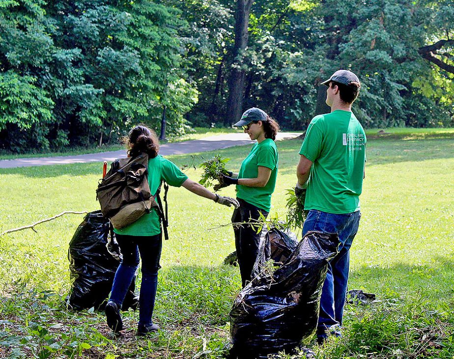 Green Team