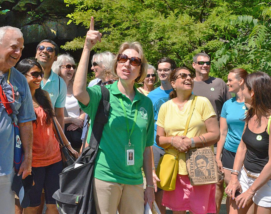 Tour Guide