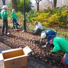 Gardeners Assistants