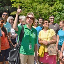 Tour Guide