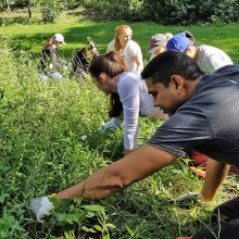 Nonprofit Day In The Dirt