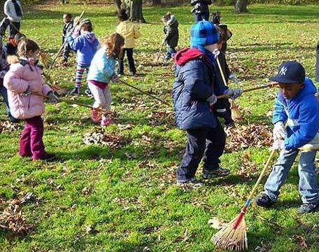 School Group Volunteer Days