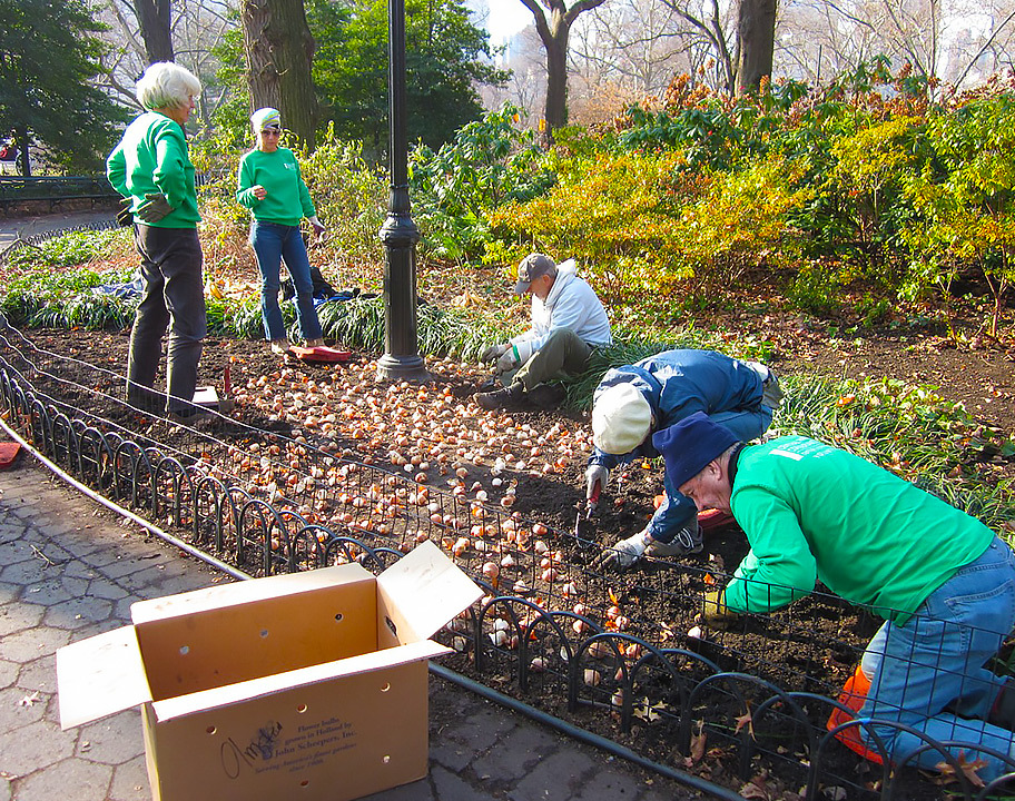 Gardeners Assistants