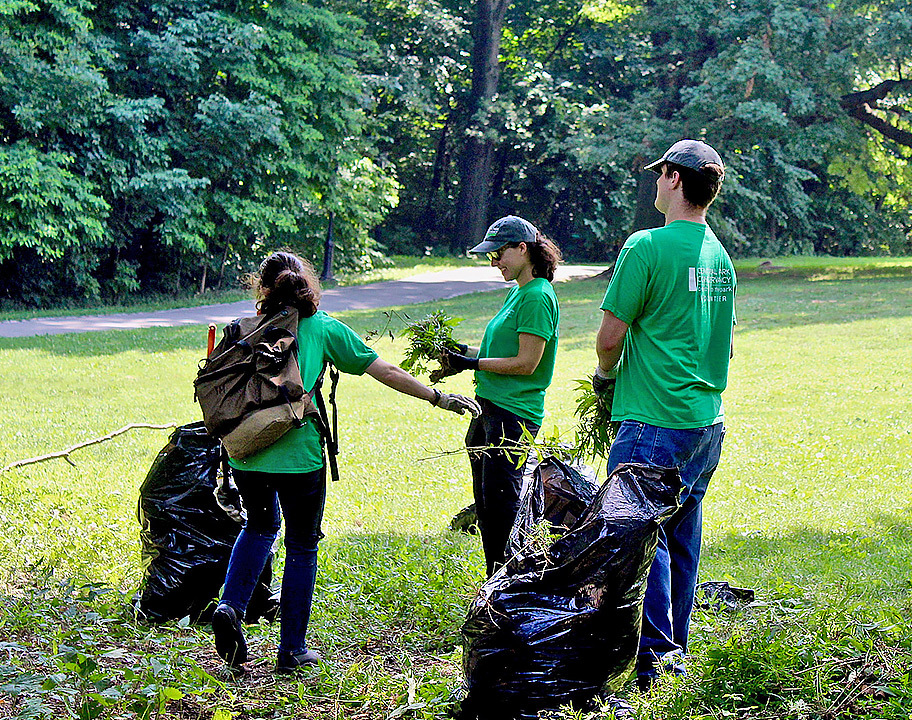 Green Team